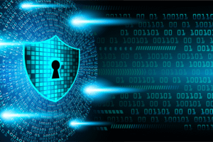 cyber criminals and cyber liability